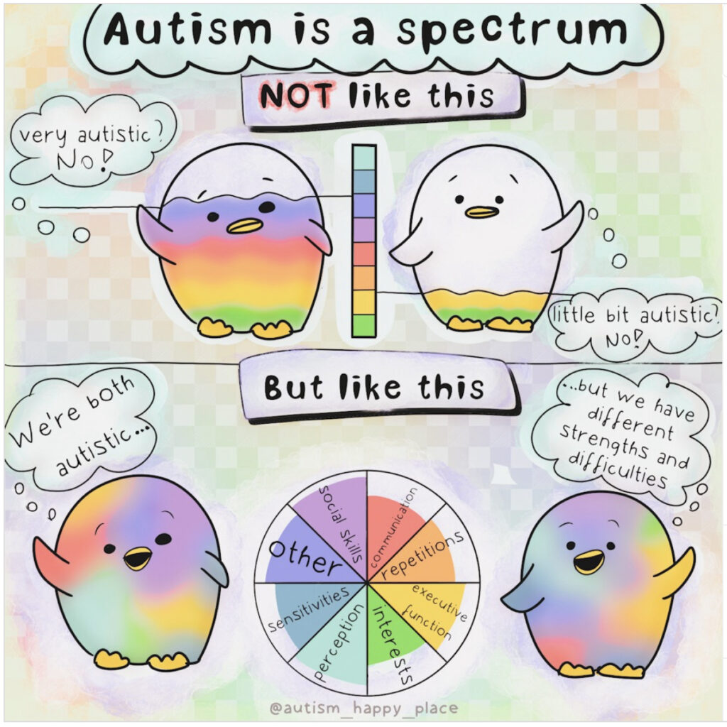 Autism is a spectrum.
Not like this:
* very autistic? No!
* little bit autistic? No!

But like this:
* We’re both autistic
* but we have different strengths and difficulties