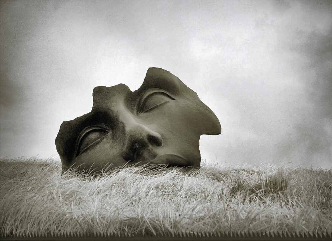 A sculpture of a broken mask, lying in a field of long grass