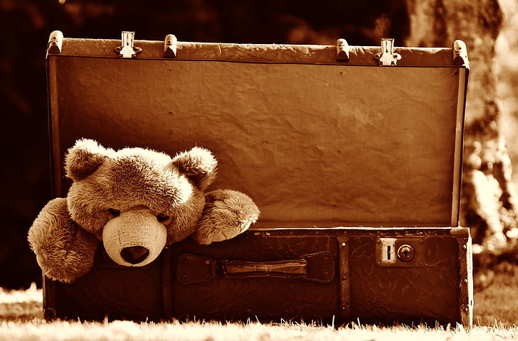 A teddy bear hanging out of a suitcase