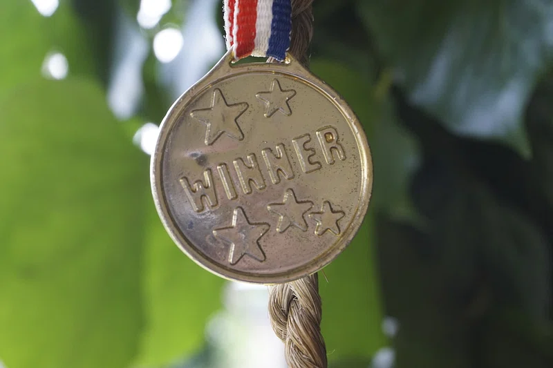 A gold WINNER medal on a blue, white, and red ribbon, held in front of leaves