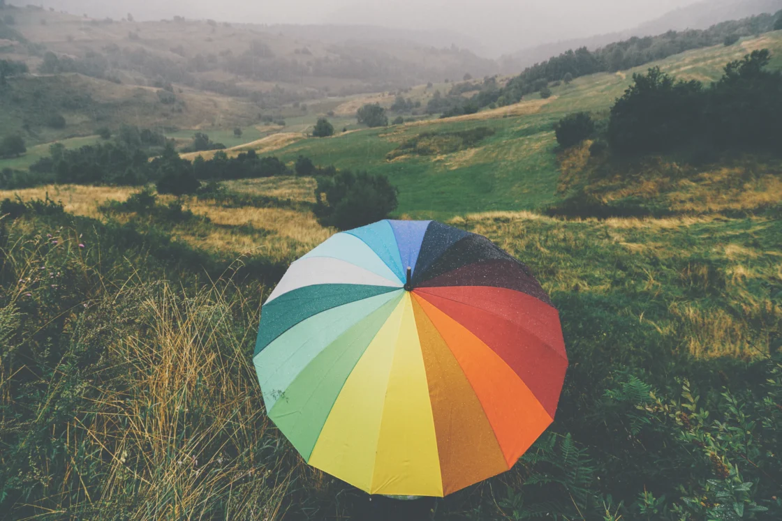 Rainbow umbrella in a field